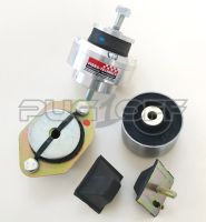 205 GTI Vibra-Technics Engine Mount Kit
