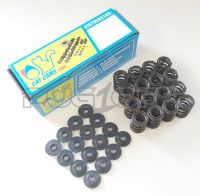 306 GTI-6 Cat Cams Valve Springs (Double) & Retainers (XU10J4RS)